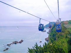 -摩天岭风景区
