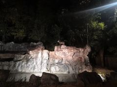 -清迈夜间动物园