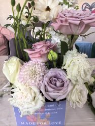 -安悦贝月子中心