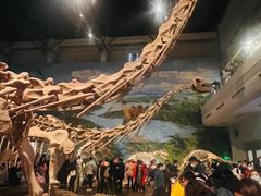 -自贡恐龙博物馆