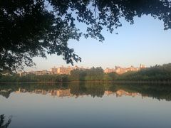 -三水森林公园