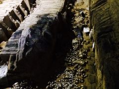 -骏途旅游