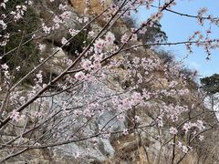 -圣莲山风景区