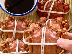 -蟹天蟹地农家菜·阳澄湖大闸蟹(浅水湾店)