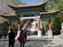 -哈密回王府景区