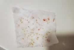 -苗方清颜•痘肌问题肌专研