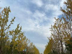 -狼山风景名胜区