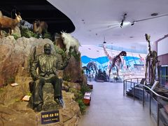 -陕西自然博物馆