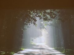 -观唐足道SPA养生会馆(南湖店)