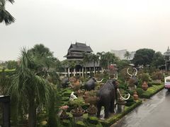 -东芭乐园