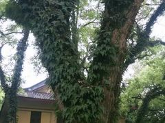-桂林独秀峰王城景区