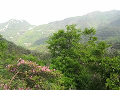 -木兰云雾山