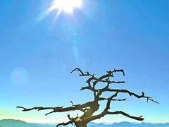 -大连天门山国家森林公园