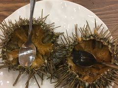 -红叶日料·放题·海胆·定食(星海店)