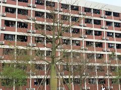 -广东金融学院(校本部)