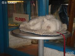 -Babycat私家御饼屋(龙头路一店)