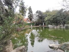 -云南民族大观园