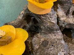 -鱼桥巷·美学川菜