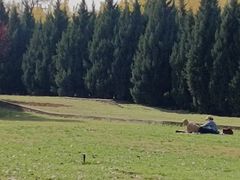 -汉长安城未央宫国家考古遗址公园