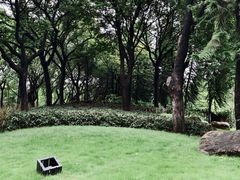 -映月湖公园