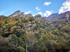 -青峰峡国家森林公园