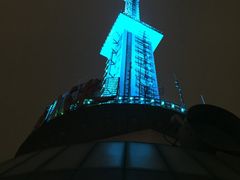 -339旋转餐厅(天府熊猫塔店)
