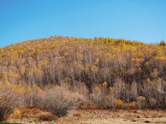 -塞罕坝国家级自然保护区