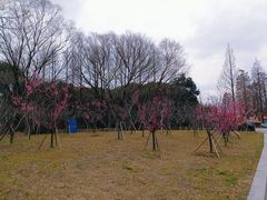 -同里国家湿地公园