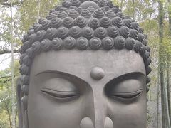 -杭州植物园