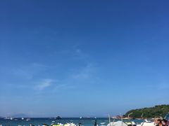 -三亚湾红树林度假世界(木棉酒店)