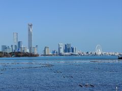 -金鸡湖景区