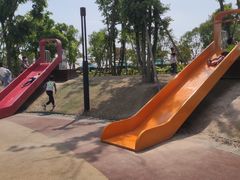 -春花秋色城市公园