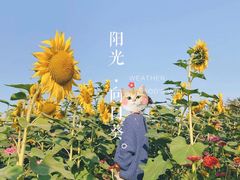 -映月湖中央公园