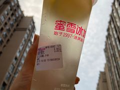 -蜜雪冰城(百草路店)