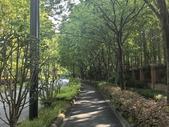 -新江湾城公园