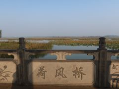 -白洋淀景区