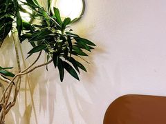 -沙丘咖啡DUNE COFFEE(深业水松大厦店)