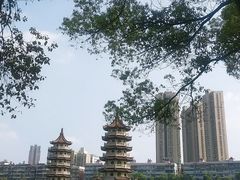 -宝岛公园