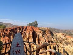-元谋土林景区(物茂土林)