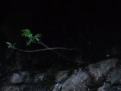 -太湖源风景区