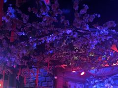 -周庄红庭演艺酒吧