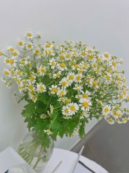 -SEE YOUNG皙有·美甲美睫·皮肤管理