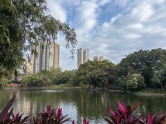 -晓港公园