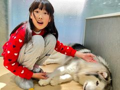 -瑞虹新天地月亮湾