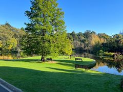 -墨尔本皇家植物园