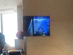 -老板恋上鱼(恒隆广场店)