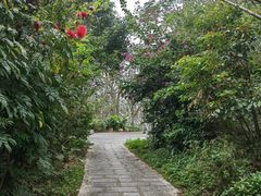 -梧桐山风景名胜区