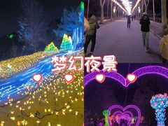 -洛阳市隋唐城遗址植物园