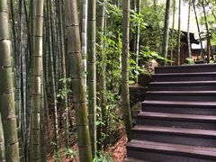 -祁门牯牛降观音堂风景区