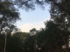 -飞凤山奥体公园